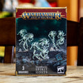 Warhammer AoS - Spirit Hosts